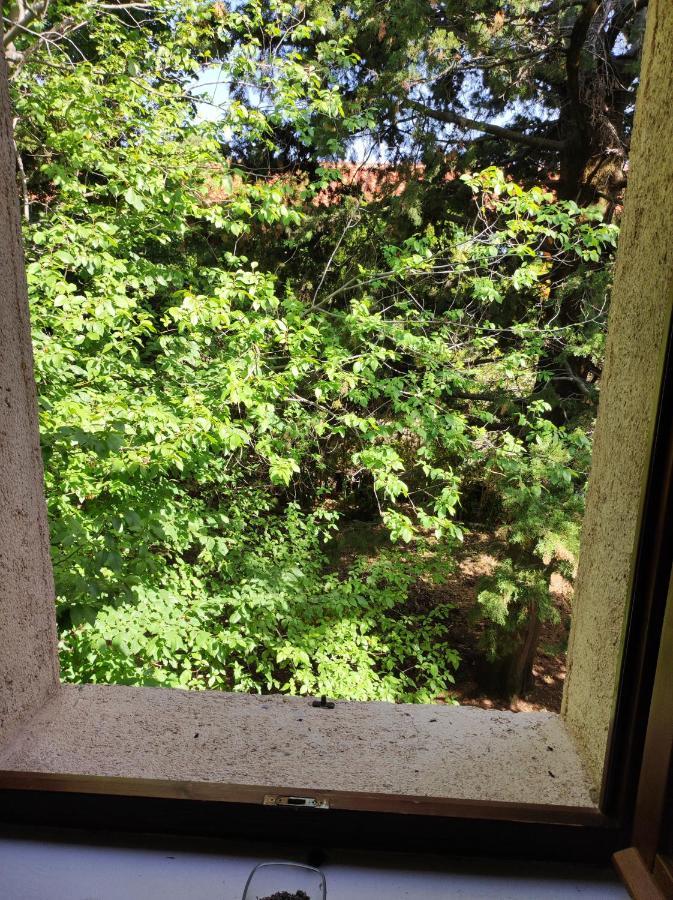 Jankovich Castle Apartment เบนโควัส ภายนอก รูปภาพ